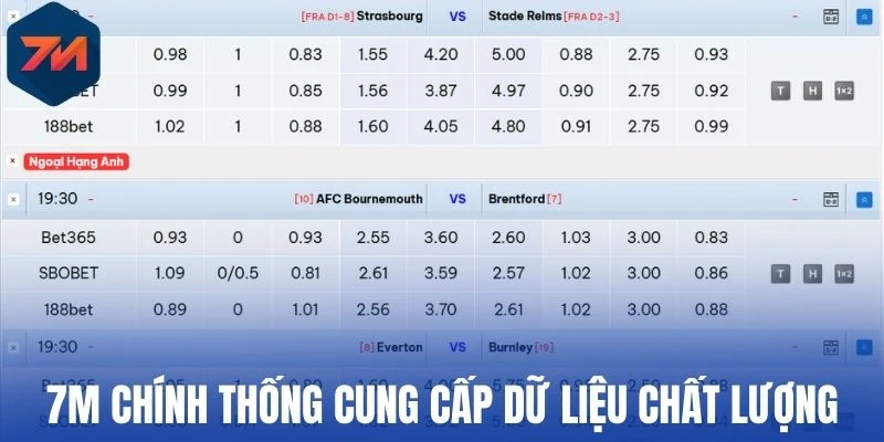 7M chính thống cung cấp dữ liệu chất lượng