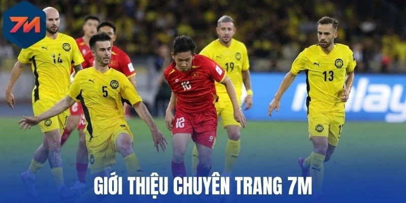 Giới thiệu chuyên trang 7M