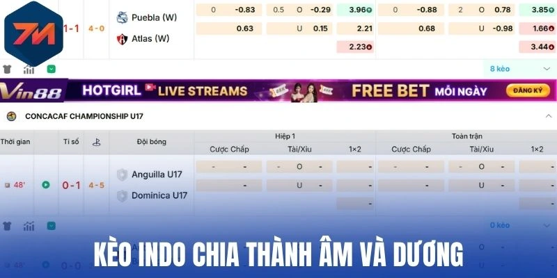 Kèo Indo chia thành âm và dương