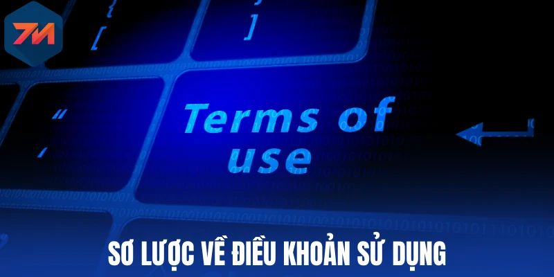Sơ lược về điều khoản sử dụng