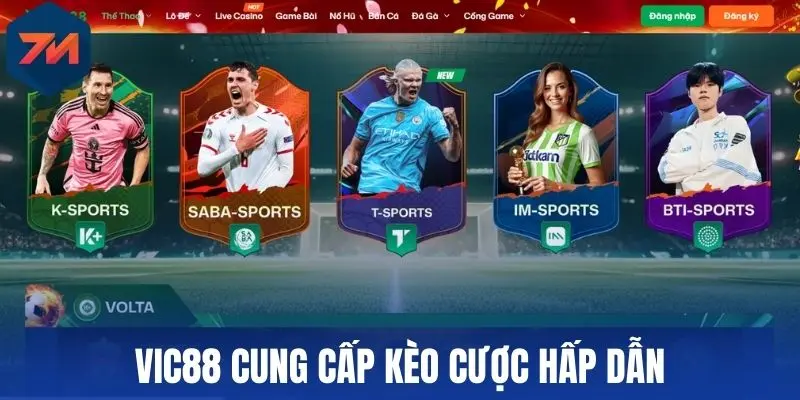 Vic88 cung cấp kèo cược hấp dẫn