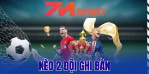 Điều kiện để cửa Yes và No thắng